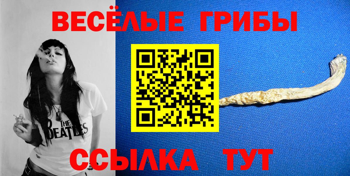 Сургут  Галлюциногенные грибы GOLDEN TEACHER  Вход с VPN  Псилоцибиновые грибы мицелий 